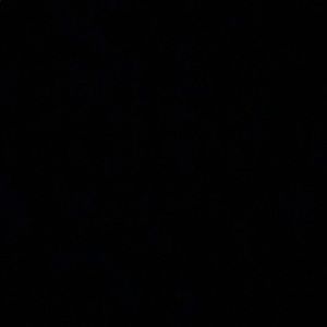 Meet your Posher, Franklin